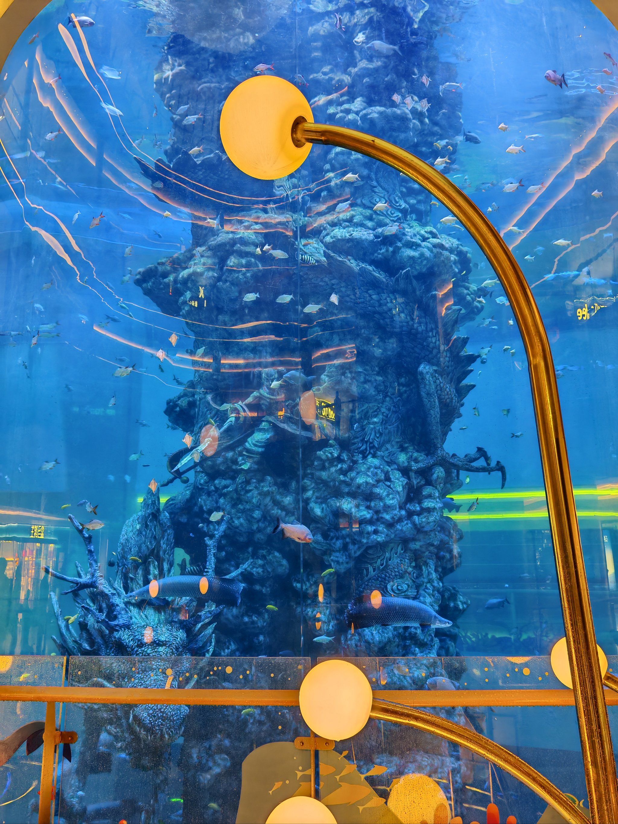 怪怪水族馆安卓手机版(怪怪水族馆手机版无限金币)-第5张图片-QuickQ官网