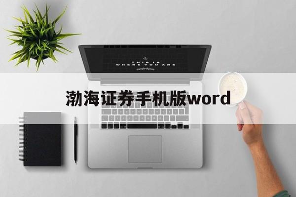 渤海证券手机版word(渤海证券大智慧手机版官方免费下载)