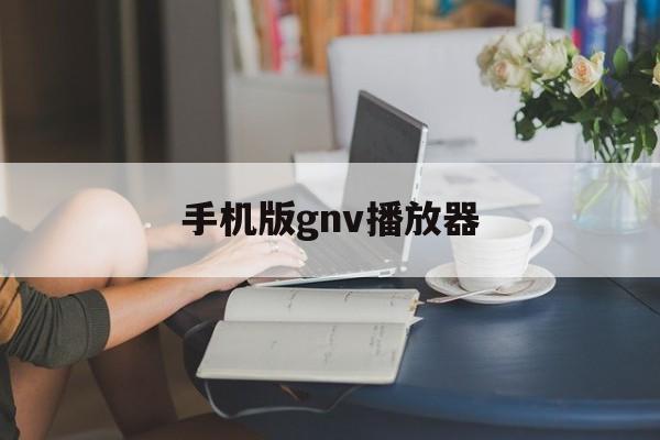 手机版gnv播放器(gnv格式在手机播放器)-第4张图片-QuickQ官网 手机版gnv播放器(gnv格式在手机播放器)-第4张图片-QuickQ官网