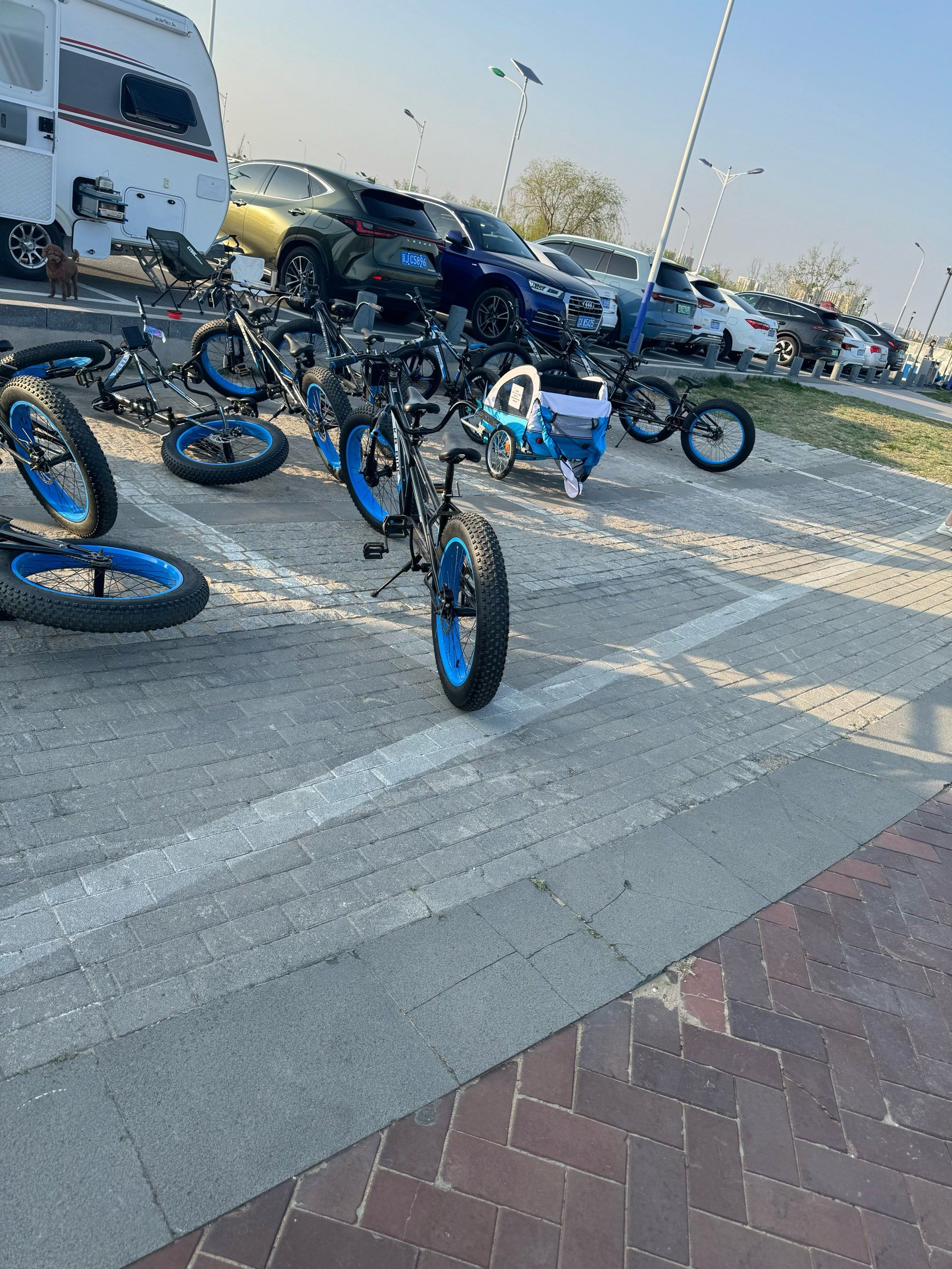 双人自行车对战手机版(双人自行车技巧)-第3张图片-QuickQ官网