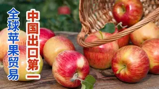 苹果俄国版(苹果手机俄罗斯版)-第3张图片-QuickQ官网 苹果俄国版(苹果手机俄罗斯版)-第3张图片-QuickQ官网