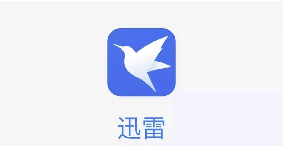 苹果版手机迅雷怎么用(苹果版手机迅雷怎么用电脑下载)-第2张图片-QuickQ官网